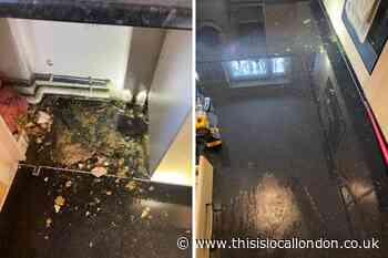 Rainham resident reveals how home was flooded with sewage