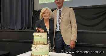 Celebrating 20 years