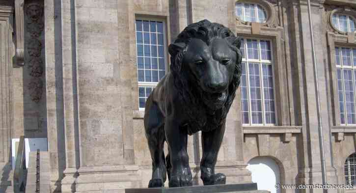 Woher? Wie alt? Wozu? – Neustart der Begutachtungstermine im Hessischen Landesmuseum Darmstadt