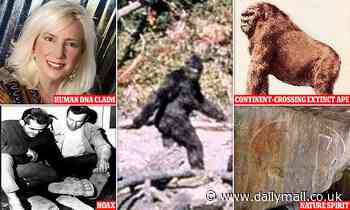 Bigfoot: Top theories of the hairy ape-man - from a lost hominid to a Native American nature spirit 