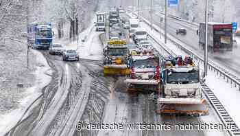 Hollands Bauern im Aufstand: Großdemo gegen Enteignungen