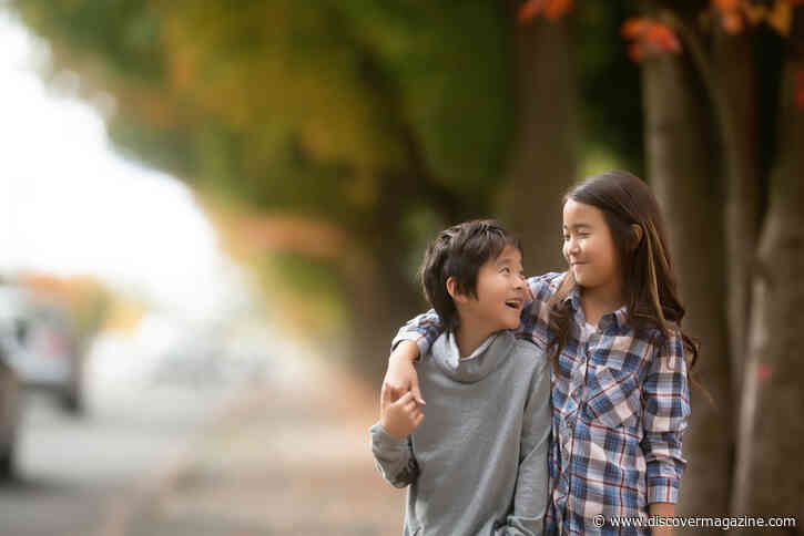 How Similar are Siblings? What Makes Us Different?