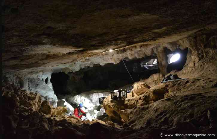 23,000-Year-Old Teeth Fill an Ice-Age Gap