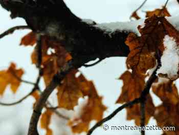 Montreal weather: Only a few snowflakes to dodge today