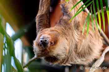 Extra-Fütterungen, Info-Stände und tierischer Nachwuchs
