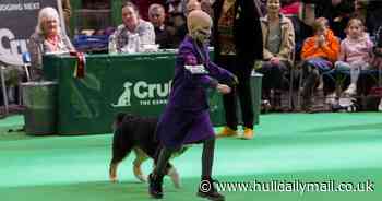 Cancer-battling eight-year-old seals brave second-place finish at Crufts