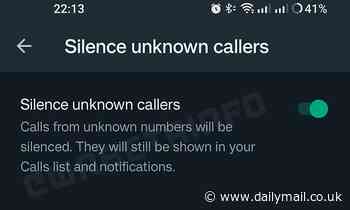 The clever WhatsApp trick to block unwanted or scam callers 
