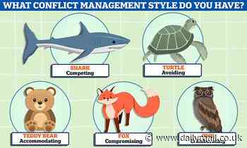 Take MailOnline's quiz to reveal your conflict style - and what it says about you 