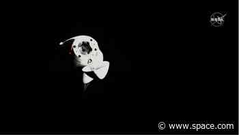 SpaceX Crew-5 astronauts depart space station after five months in orbit. Watch them land tonight!