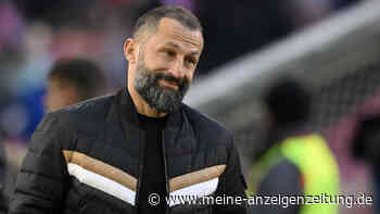 „Das ist zu früh“: Bei These von Hamann muss Bayern-Boss Salihamidzic lachen