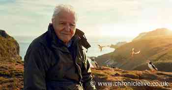 BBC hits back after claims David Attenborough's Wild Isles 'pulled from air'