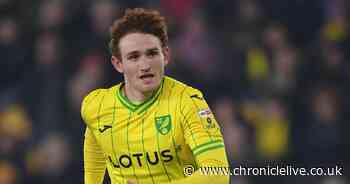 David Wagner confirms Josh Sargent should start Championship clash vs Sunderland