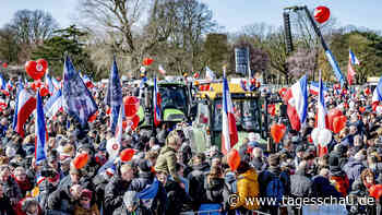 Bauern protestieren in Den Haag gegen Umweltauflagen