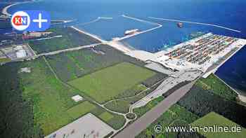 Polen plant Containerhafen ohne Deutschland: Revanche für Nord Stream?