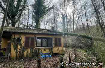 FW-BO: Entwurzelter Baum stürzt auf Haus