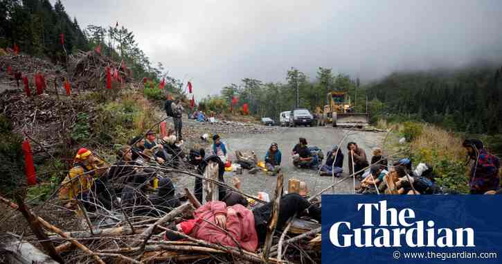 Canada: inquiry into police unit accused of excessive force against green activists