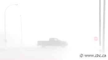 Blizzard hits southeastern Saskatchewan