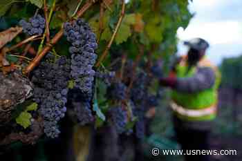 From Wine Country to London, Bank's Failure Shakes Worldwide