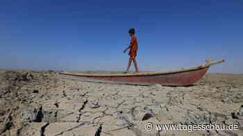Marschland im Irak: Ein Welterbe vertrocknet