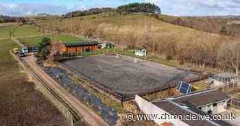 Northumberland riding school with spectacular views over Tyne Valley on the market