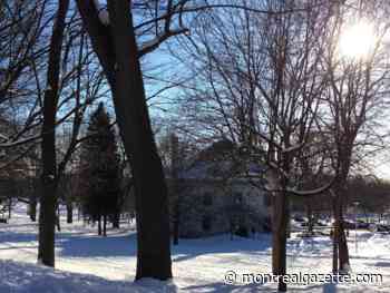 Montreal weather: Glorious sunshine