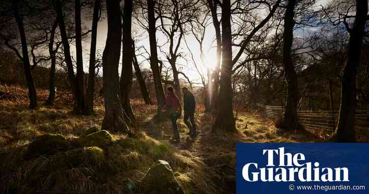 ‘The R-word can be alienating’: How Haweswater rewilding project aims to benefit all