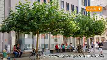 Millionen fürs Augsburger Stadtgrün: Geld ist nicht alles