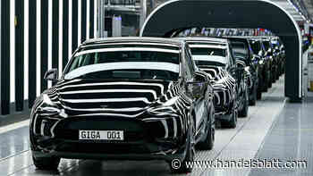 ESG-Anlagen: Was sich Anleger bei nachhaltigen Investitionen von Profis abschauen können