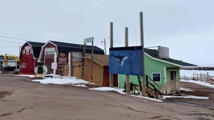 Climate change hits home for some on P.E.I. but takes back seat in election