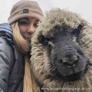 Egerton farmer's warning to dog owners during lambing season