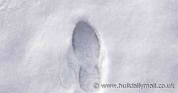 Thieves arrested after police follow footprints in snow from stolen car