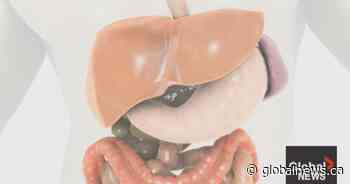 Liver Health Month: How to prevent liver disease