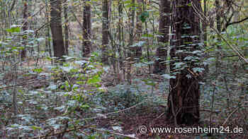 Sensations-Prozess vor 75 Jahren: Der Mörder aus Haslach „kennt keine Regung des Herzens“