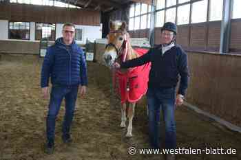 Beste Quote beim Freispringwettbewerb in Westenholz