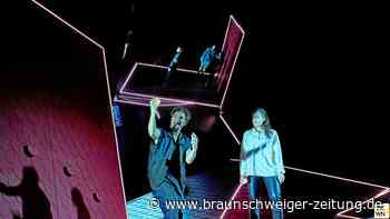 Braunschweigs Schimmelreiter: eine Klimakämpferin im Dächermeer