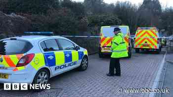 Long Ashton: Sudden death of woman 'not suspicious' - police