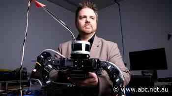 These robots are built using biology from insects — the creators say it's a game changer