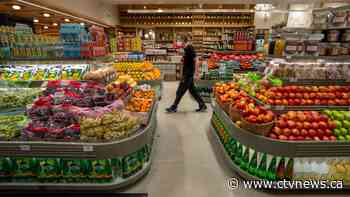 Cashback, reward apps helping Canadians save, but where is the data going?