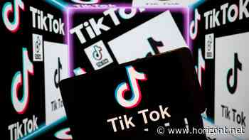 3 Creator to watch: Diese TikToker haben im Februar für Aufsehen gesorgt