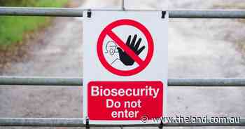 Where did the 2022 DAFF funds go?