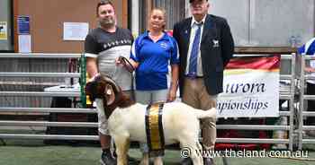 Correctness key to Southern Aurora Boer Goat win