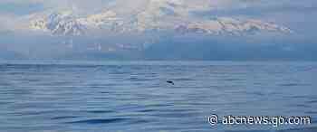 Quake swarms at neighboring Alaska volcanoes raise concerns