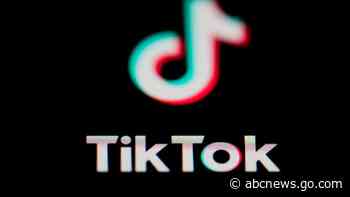 Belgium bans TikTok from government phones after US, EU