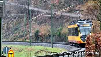 Enztalbahn Bad Wildbad: Mehr Touristen auf die Schiene?