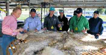 RYAG sheep 2023 hits the mark