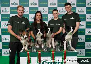 'It feels amazing to win': Lancashire owners triumphant  at Crufts