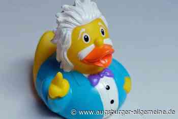 Auf Einstein-Jagd in Auktionshäusern: Was diesen Ulmer bewegt