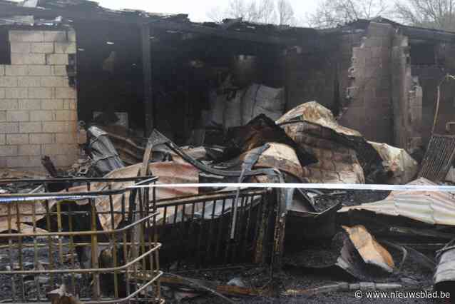 Brandstichter (41) manege De Kempenhoeve krijgt vier jaar cel: “Hij reageerde enkel zijn frustratie af”