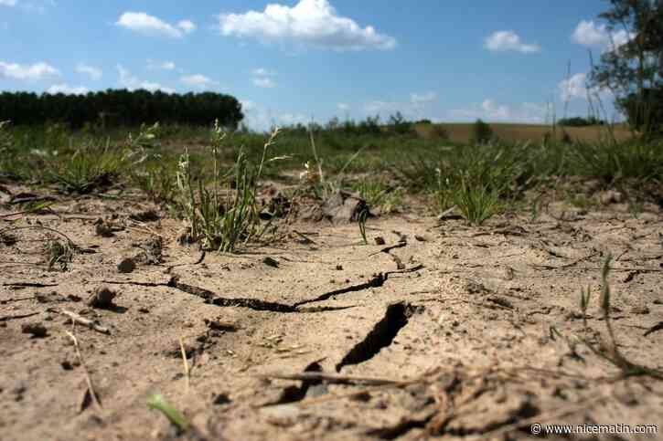 Sécheresse: la Côte d'Azur affiche des niveaux de nappes phréatiques "historiquement" bas