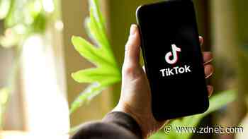 Why is TikTok being banned from government devices?